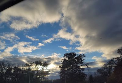 Low angle view of silhouette trees against sky