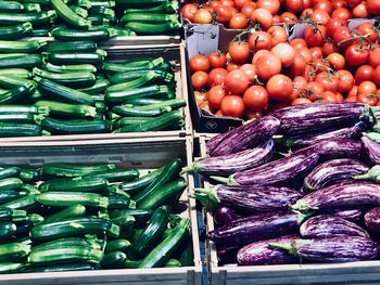 Fresh vegetable zucchini eggplant and tomatoes in vegetables market 