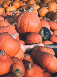 Full frame shot of pumpkins at market stall