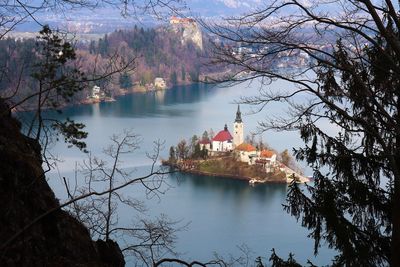 Bled island and castle seen through leafs and branches