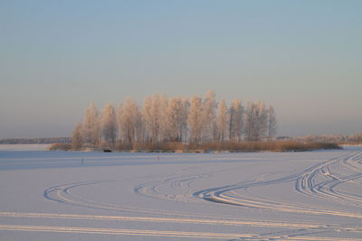 Tire tracks on snowcapped field during winter