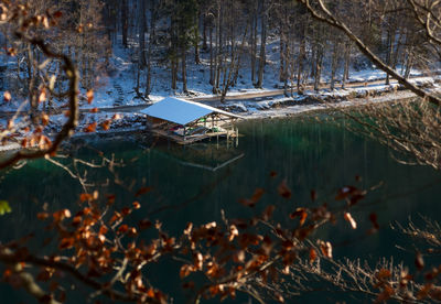 Reflection of trees in lake