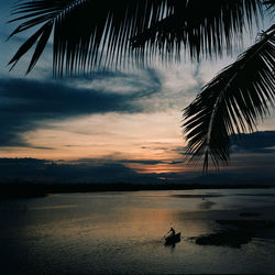 Silhouette palm trees on beach against sky at sunset