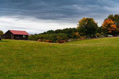 House on field against sky