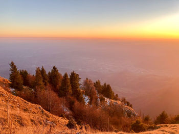 High angle view of trees on landscape against sky during sunset