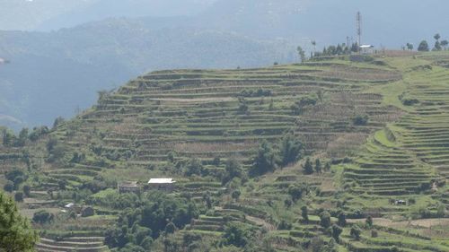 Scenic view of rural landscape