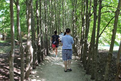 Rear view of man walking on footpath in forest