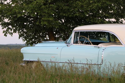 Abandoned car on field