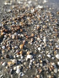 Close-up of pebbles on beach