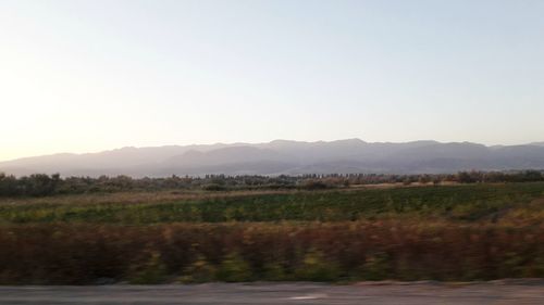 Scenic view of field against clear sky