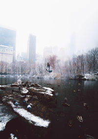 Birds swimming on lake with buildings in background during winter