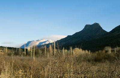 Scenic view of landscape against clear blue sky