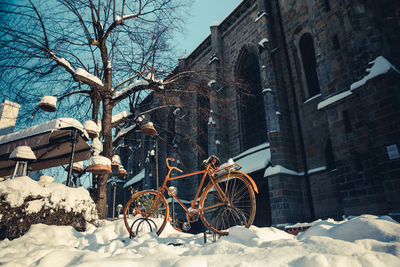 winter