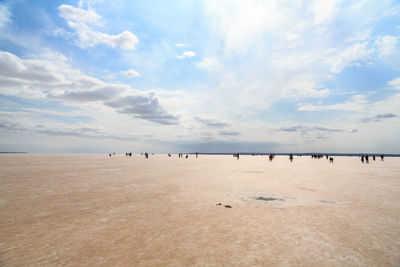  scenic view  of lake tuz against sky