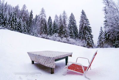 Empty benches on snow covered field against trees during winter