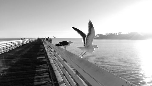View of sea against sky