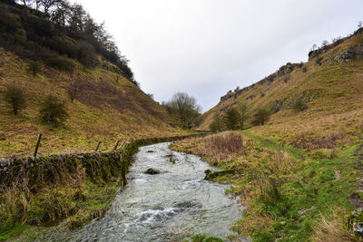 Scenic view of stream amidst trees against sky