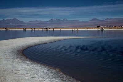 Scenic view of beach against sky