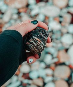 Close-up of hand holding turtle