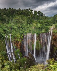 Scenic view of waterfall in forest