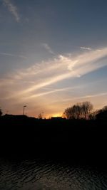 Silhouette of trees at sunset