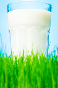 Close-up of glass of water