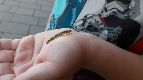 Close-up of hand holding finger