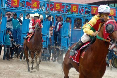 Group of people riding horses