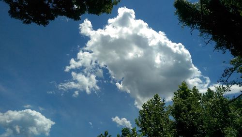 Low angle view of trees against cloudy sky