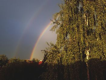 Low angle view of rainbow against sky
