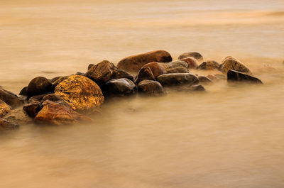 Rocks in sea against sky