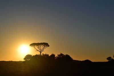 Low angle view of silhouette trees against sky during sunset