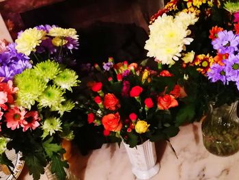 High angle view of flowering plants