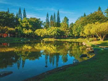 Scenic view of lake by trees against sky