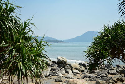 Scenic view of sea against clear sky