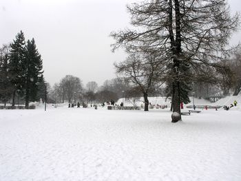 Trees on snow covered field against sky