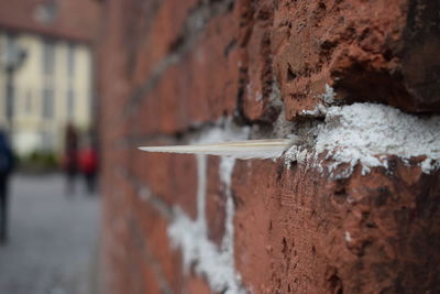 Feather stuck in brick