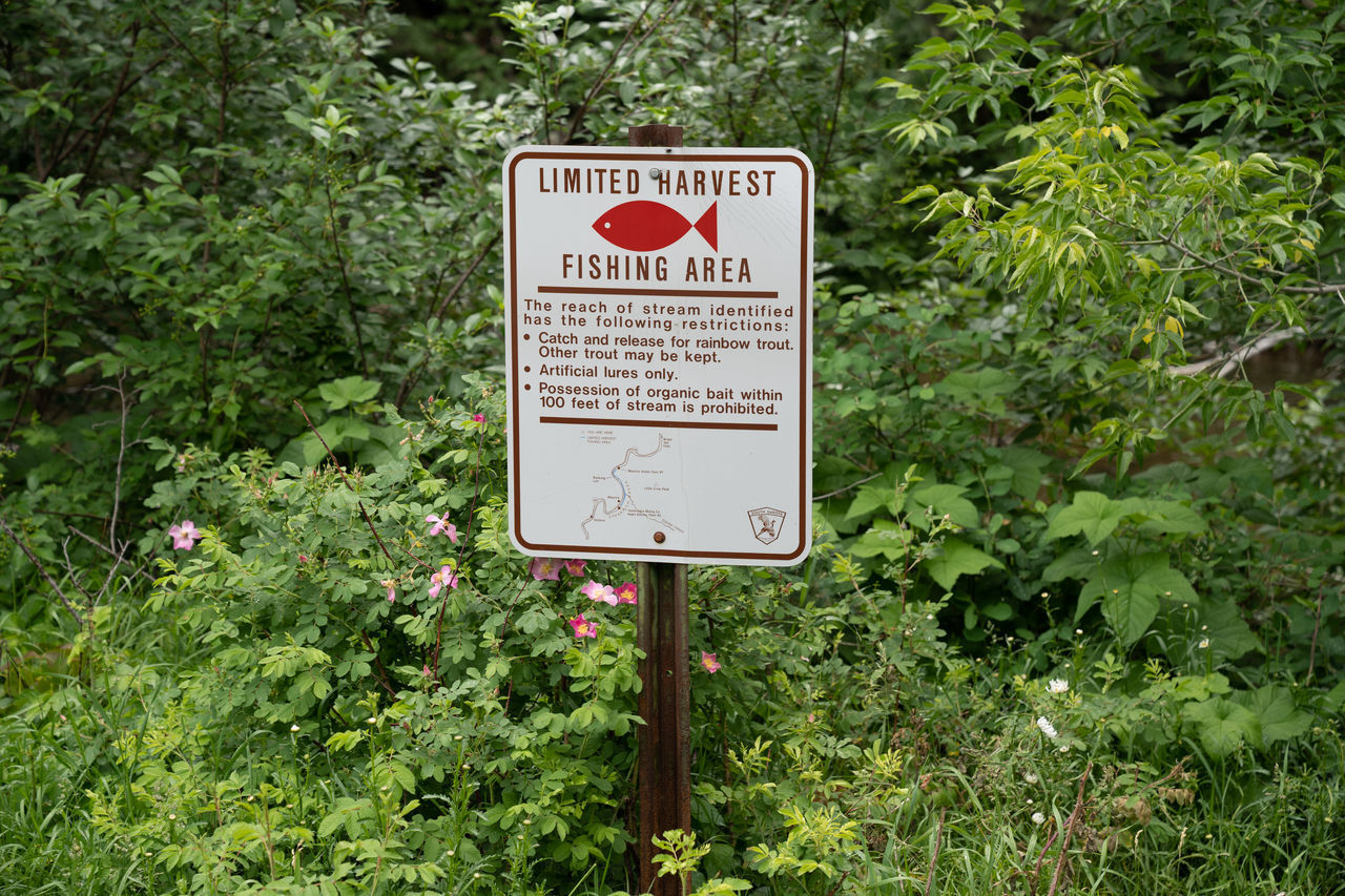 INFORMATION SIGN BY TREES