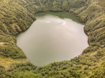 High angle view of stream amidst trees on land