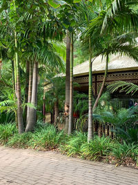 Trees and plants growing in park