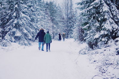 Rear view of people walking in snow covered forest