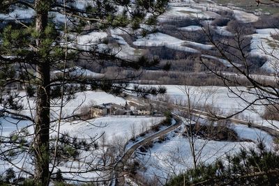 High angle view of trees during winter