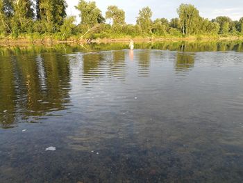 Scenic view of lake