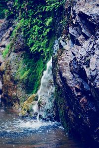 Scenic view of waterfall