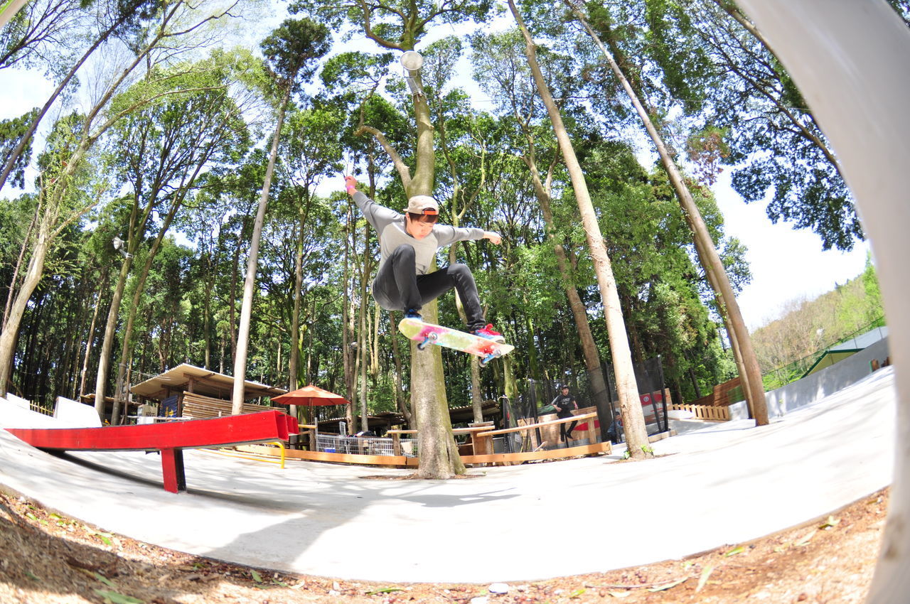 MAN STANDING AGAINST TREES