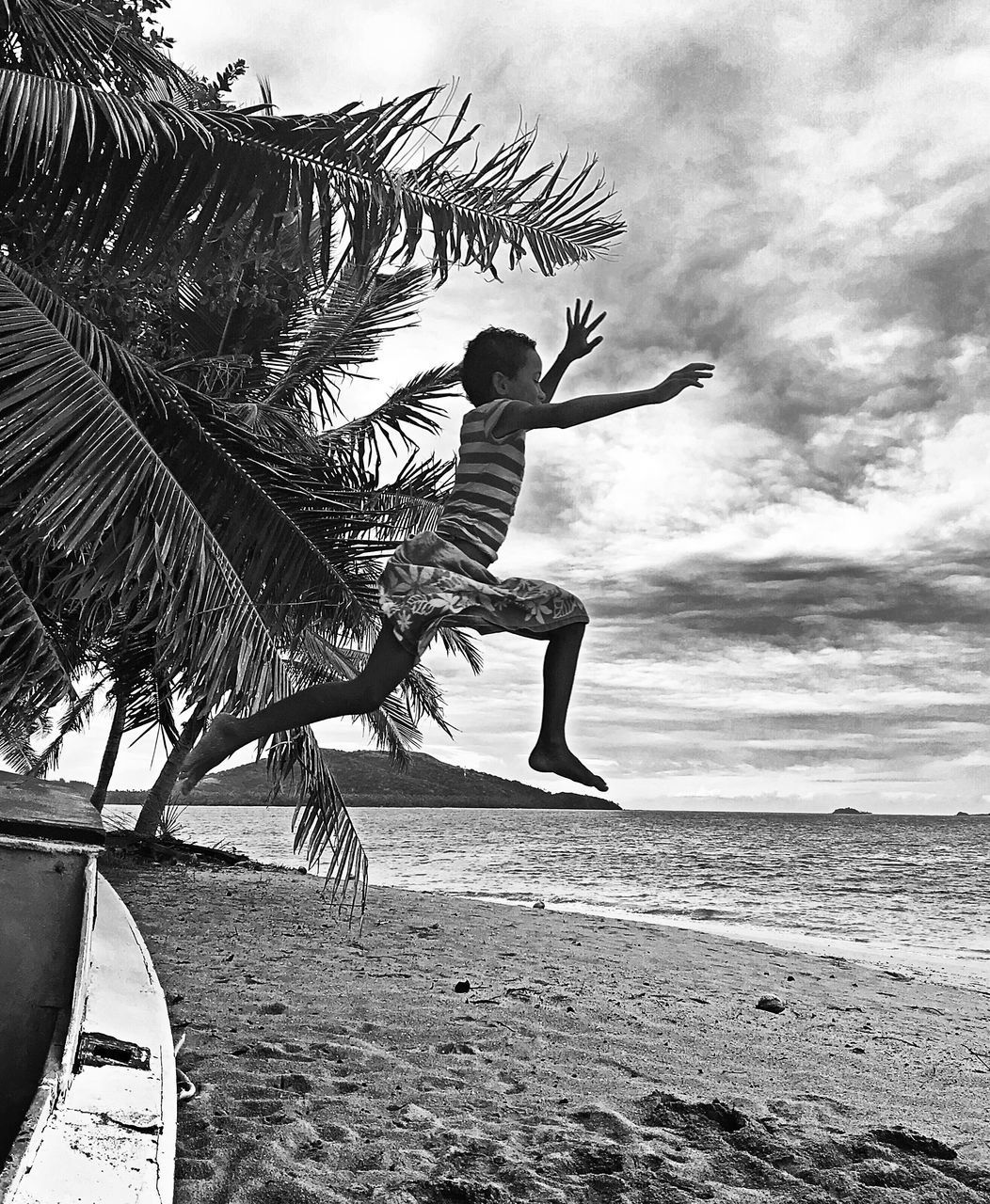 COCONUT PALM TREE ON BEACH