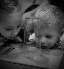 Siblings looking at spider in glass on table