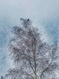 Low angle view of bare tree against sky
