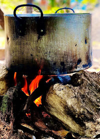 Close-up of fire on log