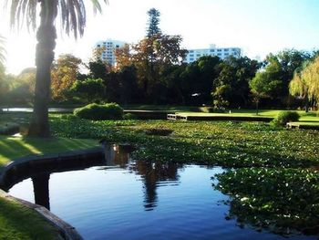 Pond in park